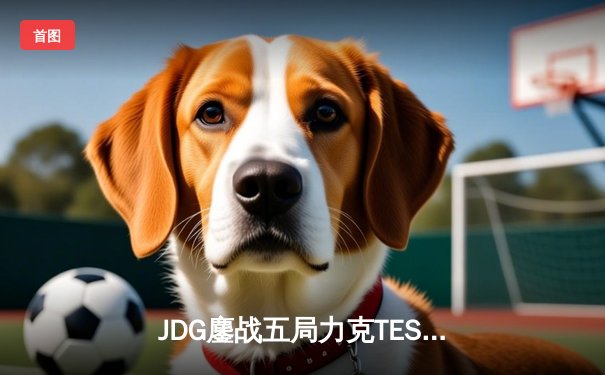 JDG鏖战五局力克TES，369超神剑姬锁定LPL春决冠军